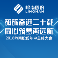 嶺南股份2018年中培訓及工作總結大會