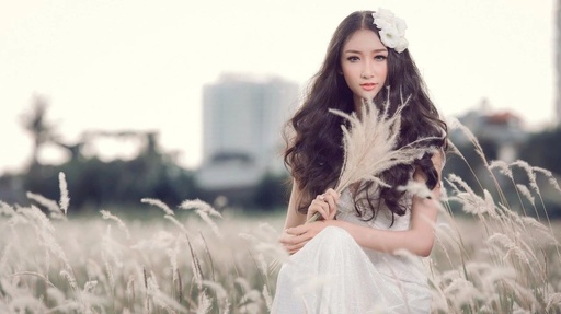 剛出的《老年人須知》手冊，太美，太貴了