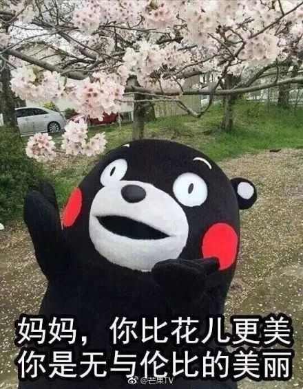 祝吴艳霞女士母亲节快乐！