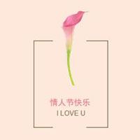情人節(jié)模板精致實(shí)用模板