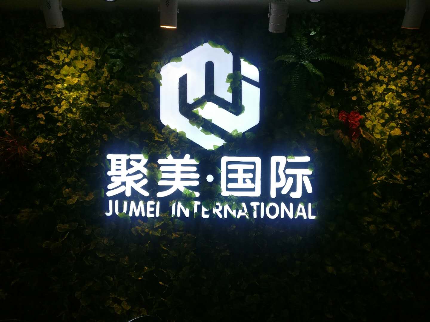 廣州聚美國際醫療管理有限公司簡介