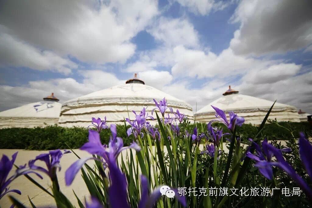 我的名字叫马兰花_h5页面生成- 兔展H5作品