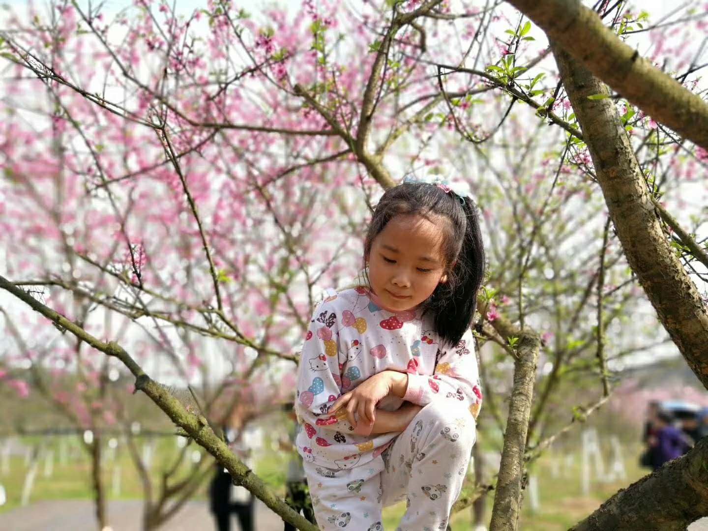 妞妞一家
