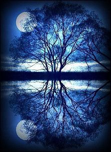 静美无声•梦夜愁人