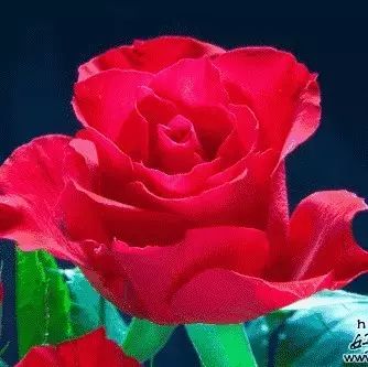 人生三寶、三步、三態(tài)、三想、三智（精辟）