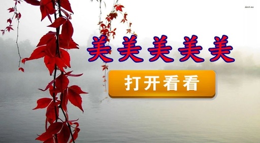 美美美美美，太美了！