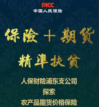 人保财险浦东支公司“保险+期货”项目助力精准扶贫