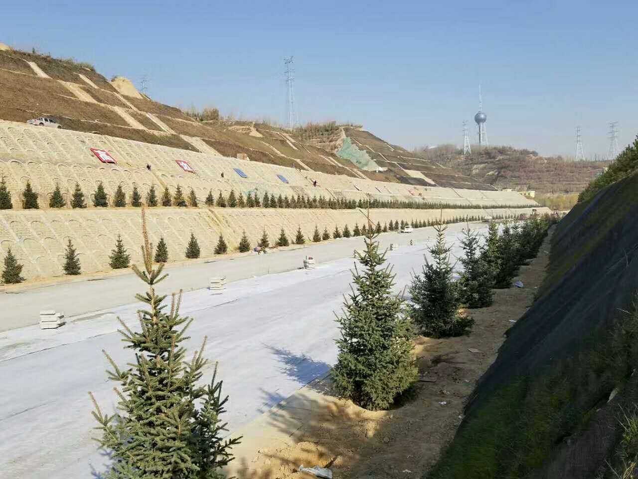 环保与绿化同行，筑建西塔双标工程