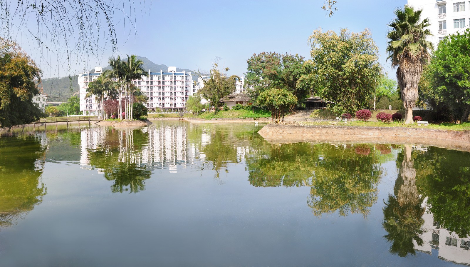 爱在黎明，经管等你