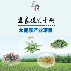 宜良投资手册-大健康产业项目