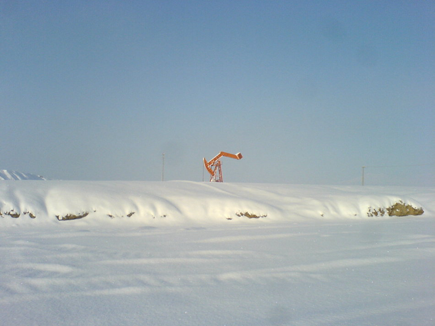 第一场雪—晏卓