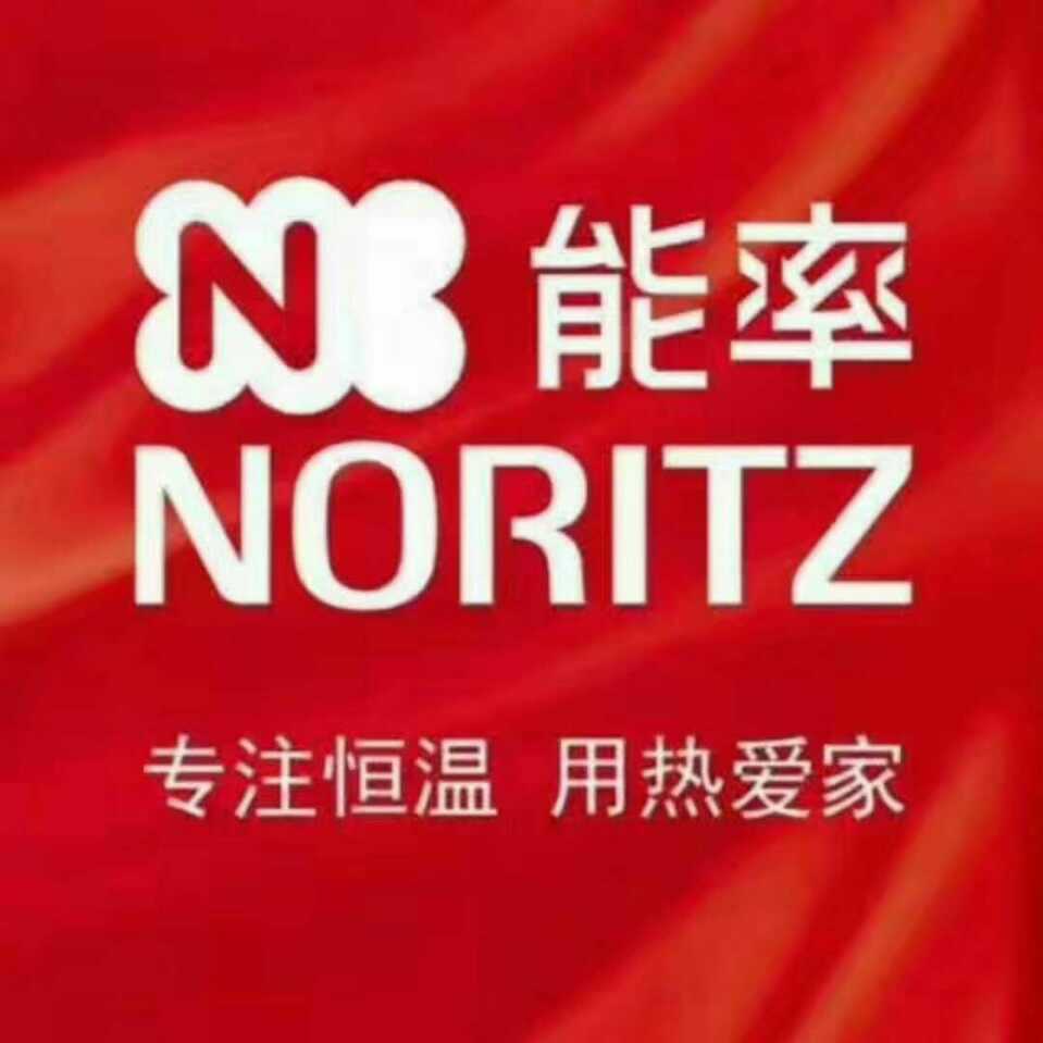 能率家用壁挂采暖热水两用炉