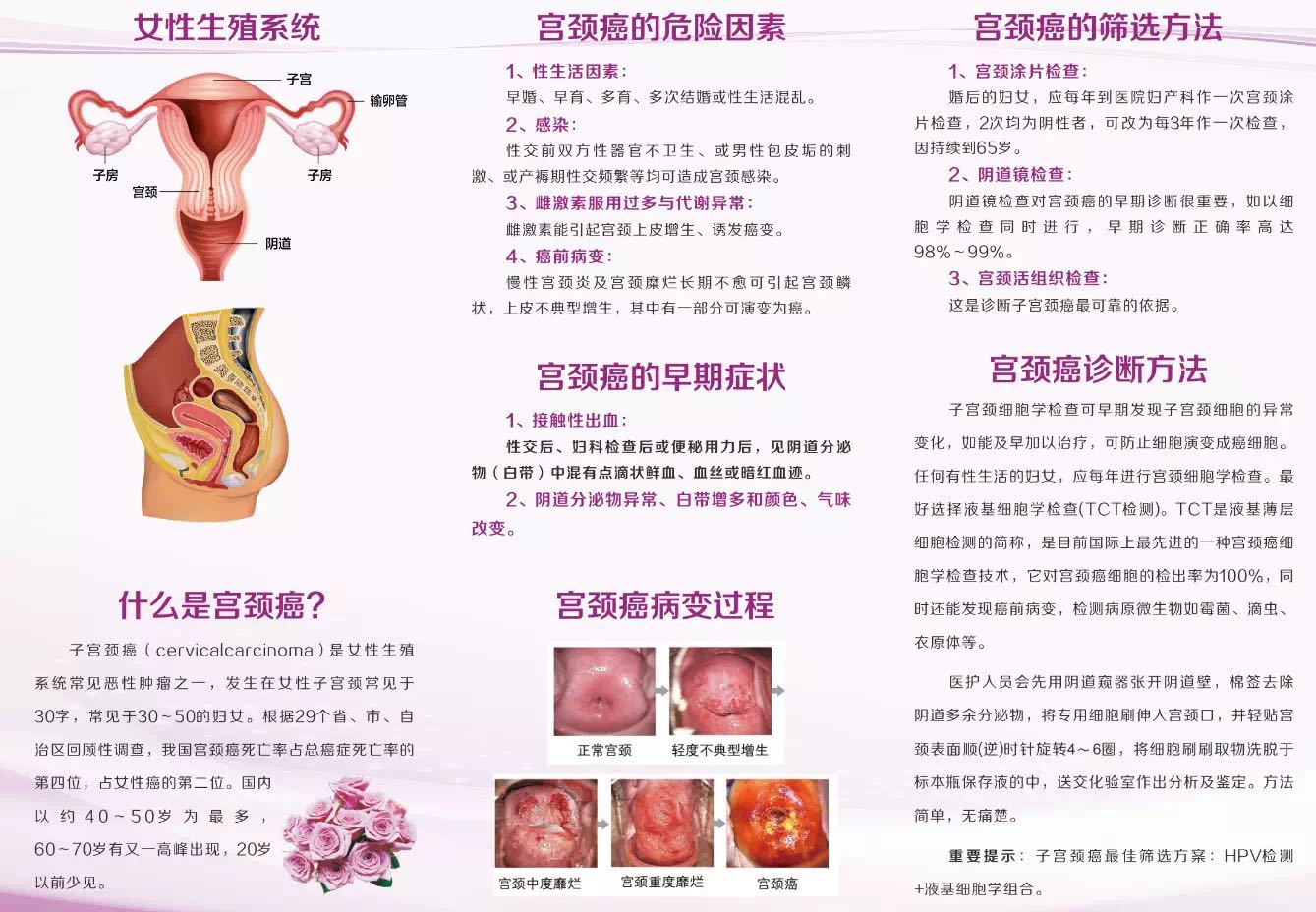 科普宫颈癌