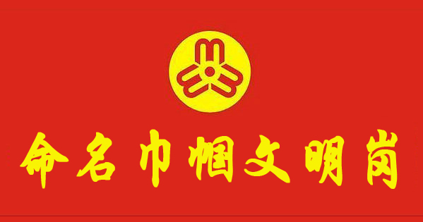 巾帼文明岗的LOGO、岗徽、岗旗的样式设计请您参与