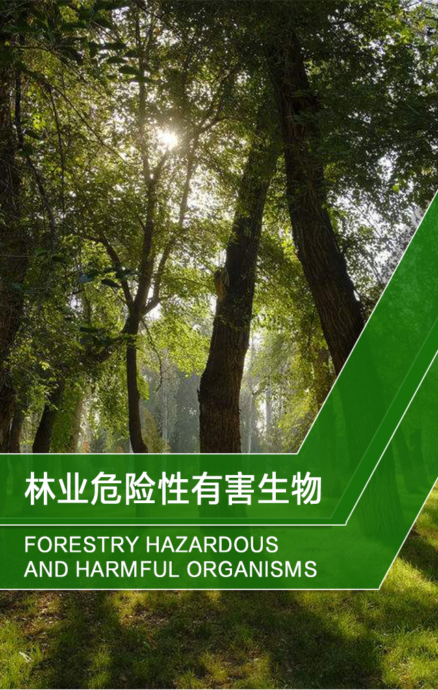 林业危险性有害生物