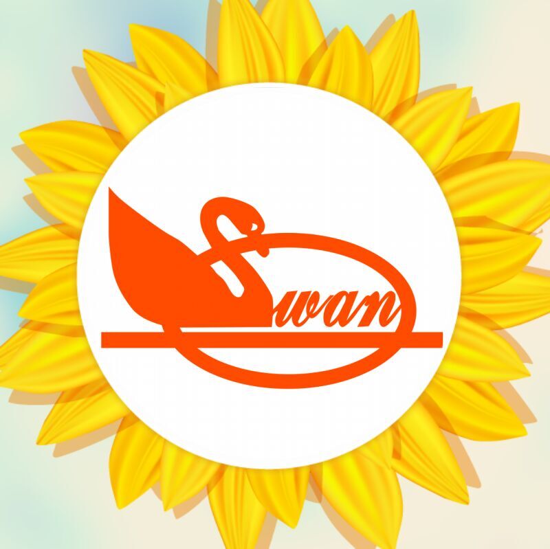 爱心汇聚,向阳花开