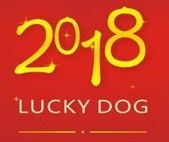 音乐系2018届毕业音乐会邀请函