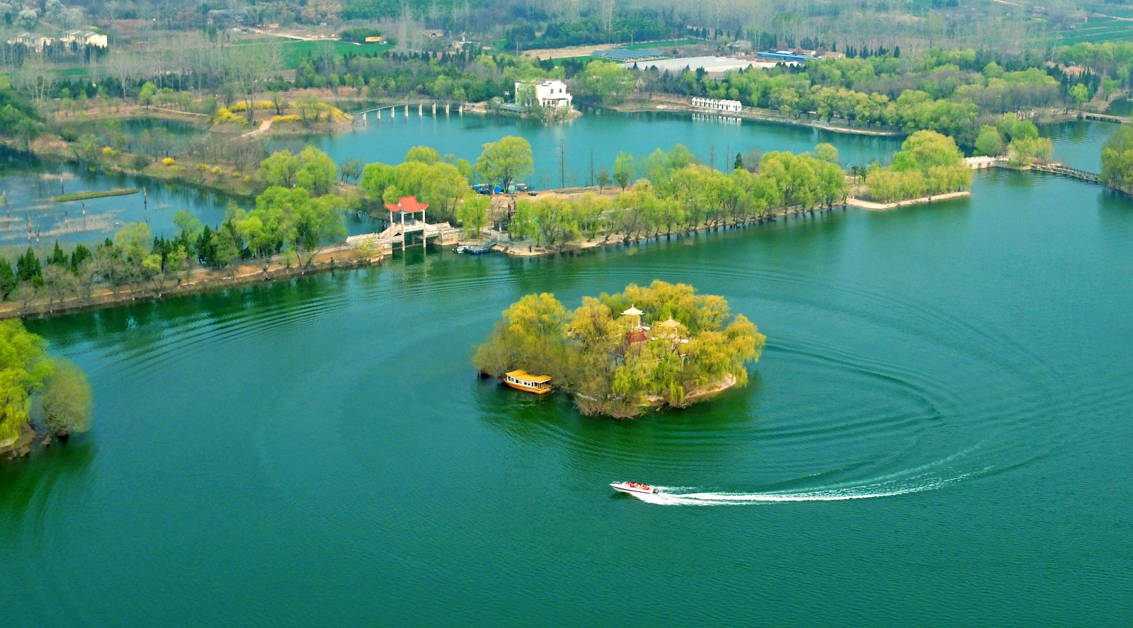 精英版郎牌特曲诚招埇桥区招加盟商宿州市埇桥区文明创建应知应会常识