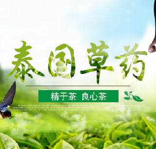 精于茶 良心茶