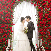 結婚請?zhí)逍挛繲ime