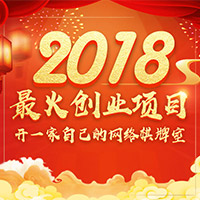 2018最火爆的创业项目