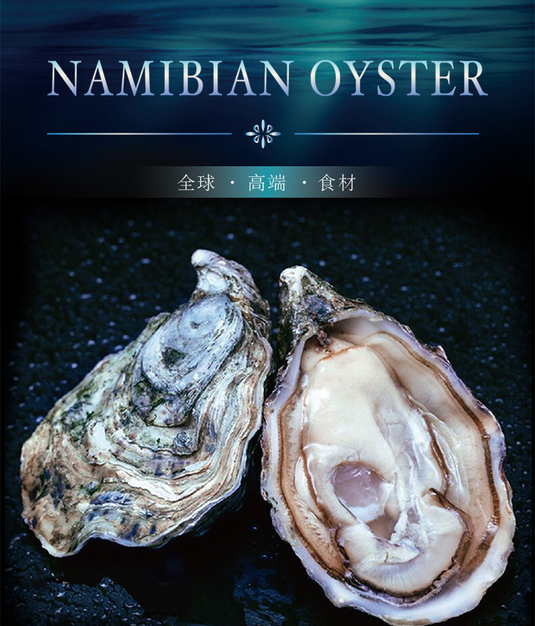 纳米比亚鲸湾港黑珍珠生蚝