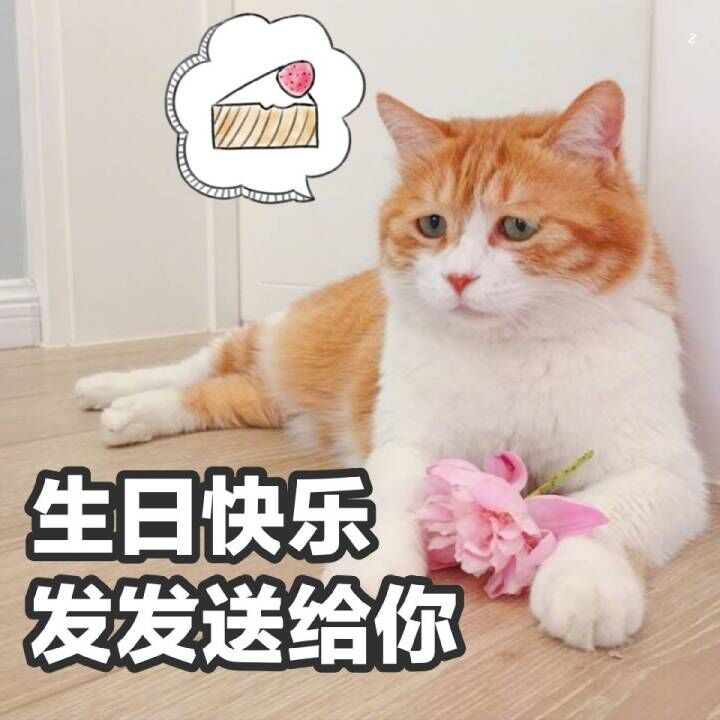 生日祝福