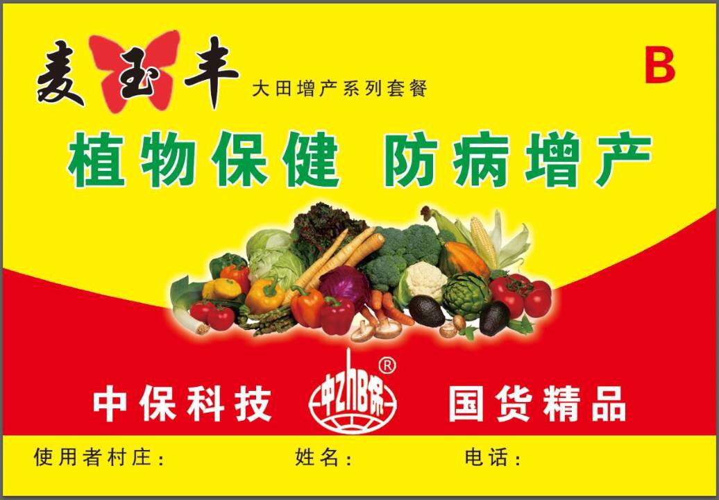 麦玉丰