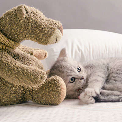 失眠疼不疼，只有夜知道