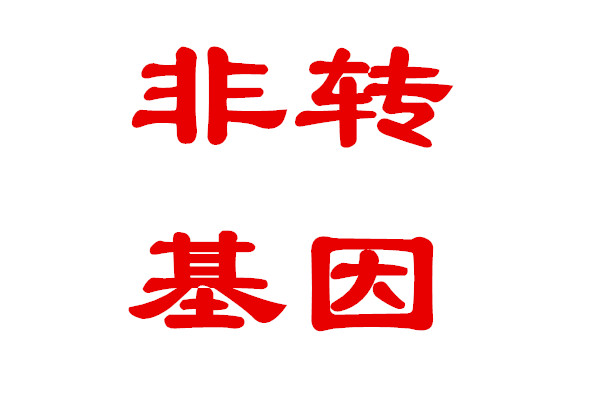 非轉(zhuǎn)基因，審定品種，不操心的好品種----美聯(lián)178